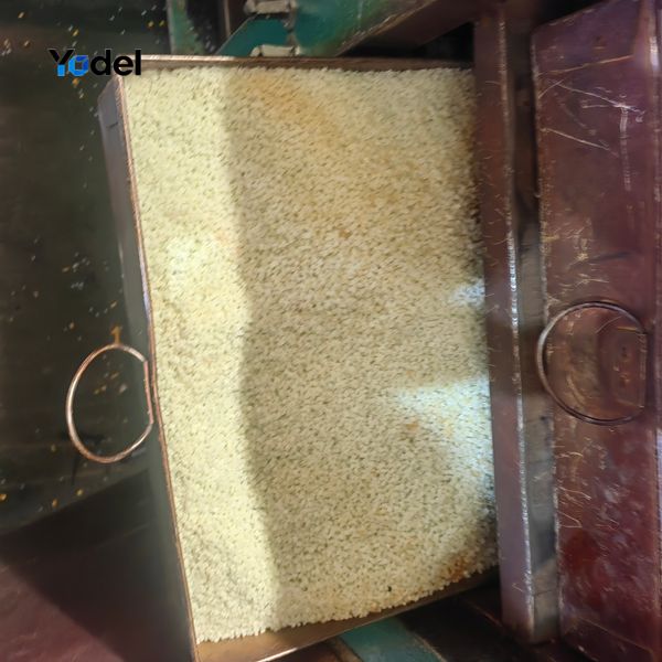 Premium 30 percent glass fiber reinforced PA66 raw nylon granules for heavy duty energy cable chain 55x150mm manufacturing